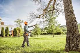 Best Tree Removal Services  in Escanaba, MI